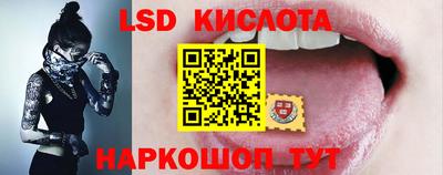 прущие грибы Будённовск