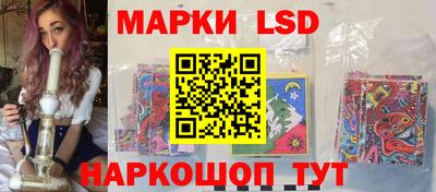 прущие грибы Будённовск