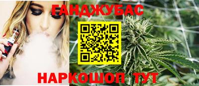 прущие грибы Будённовск