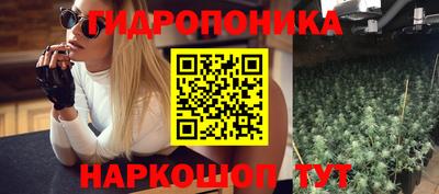 прущие грибы Будённовск