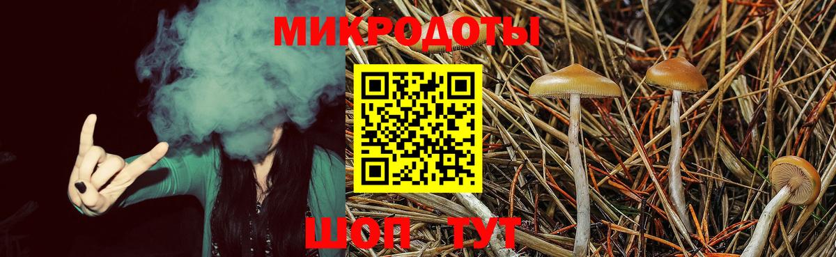 Галлюциногенные грибы мухоморы  Галлюциногенные грибы прущие грибы  Вход с VPN  Кубинка 
